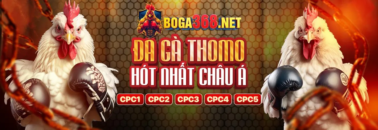 Điều khoản Dịch vụ của vin7771